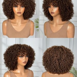 10 inches Burmese curl
